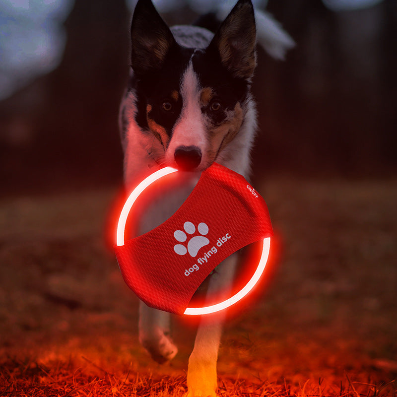 LED Rechargeable Frisbee