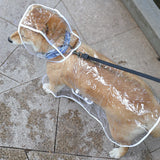 Dog Raincoat
